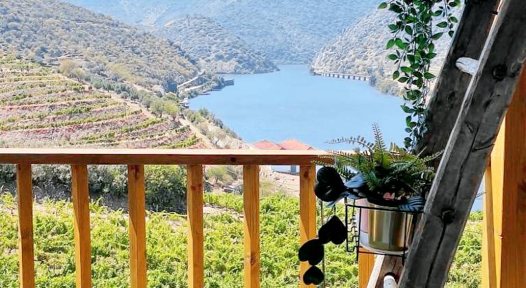 House with barbeque, terrace & garden | Pets allowed in Viseu