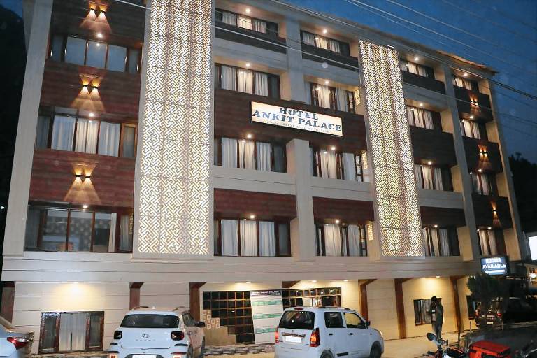 Hotel Ankit Palace — photo 5