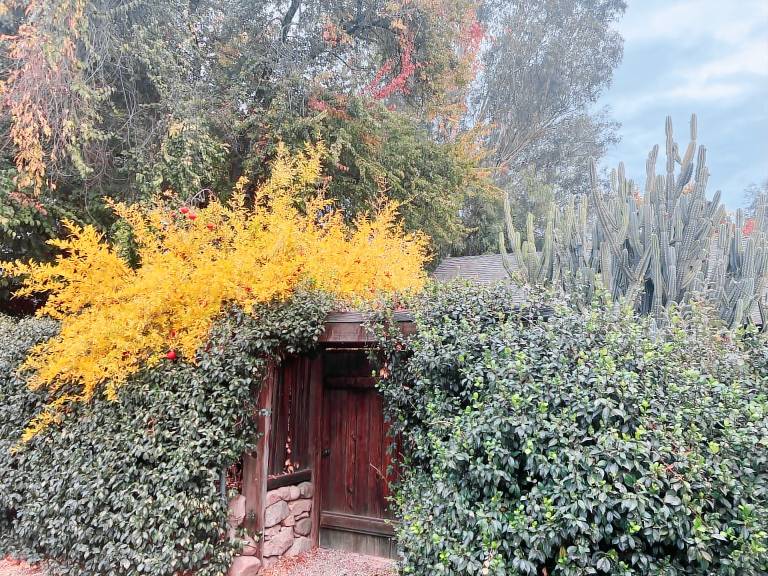 House Ojai