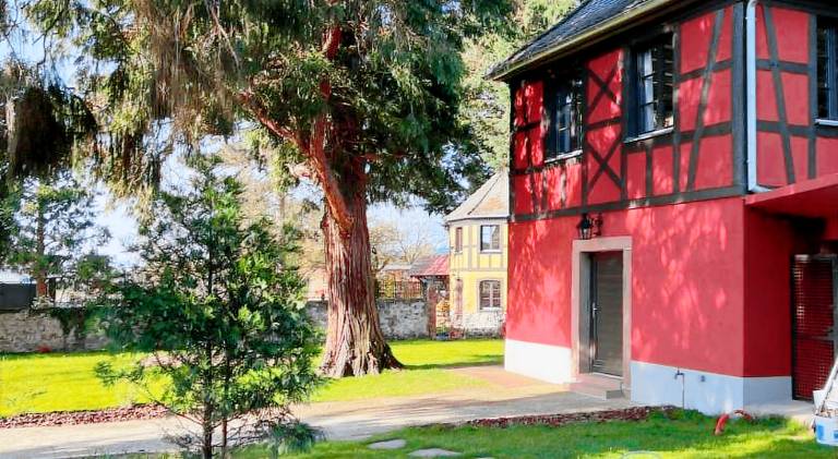 Le Parc du Sequoia & SPA proche Colmar et Riquewihr — photo 4