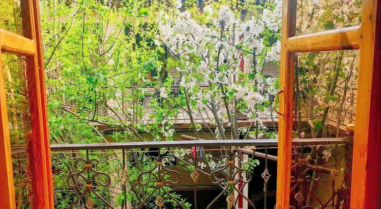 Hotel-129 — photo 5