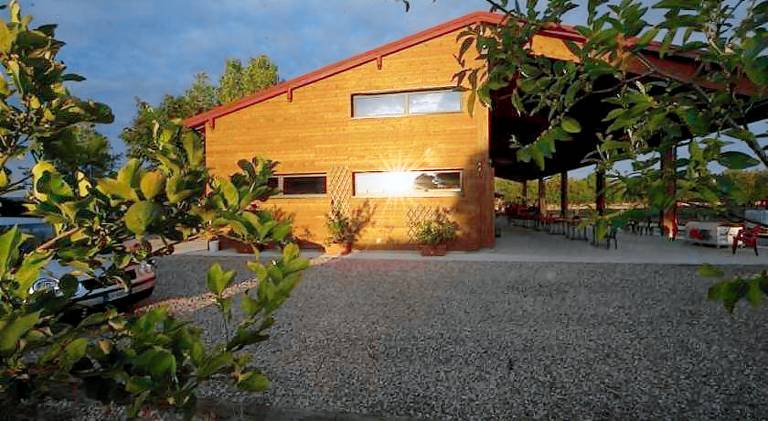 Farm with garden & terrace — photo 4
