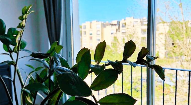 Apartment | Dogs allowed — photo 5