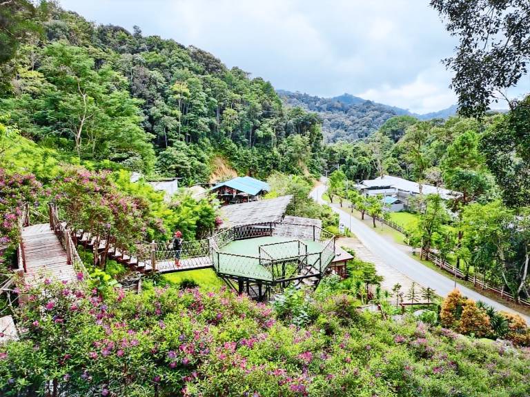 Pai Pak Nak Resort and Cafe — photo 2