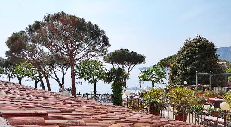 Casa Lady — photo 3