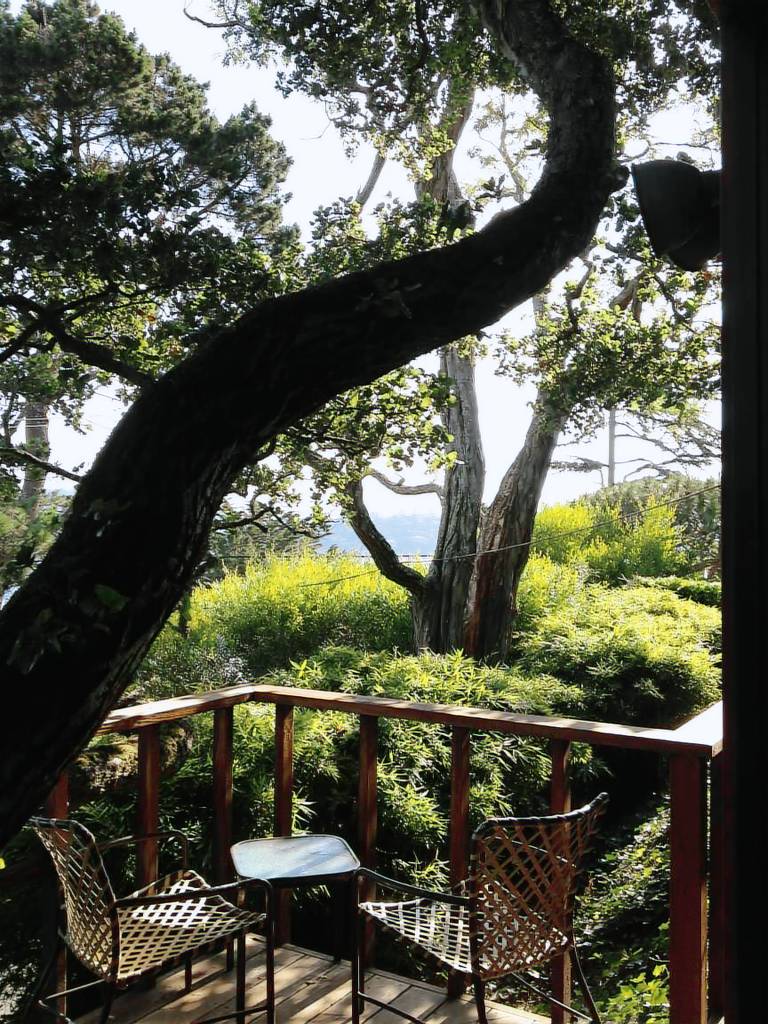 Apartment Sausalito