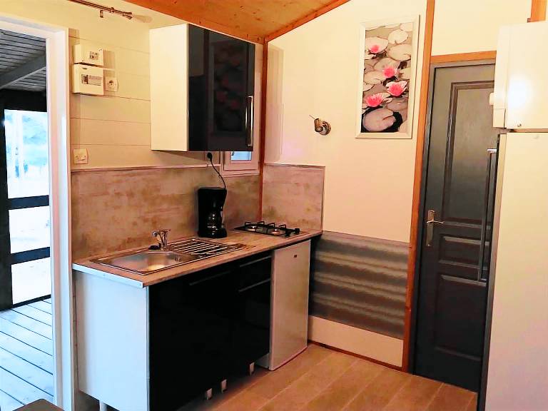 Beautiful chalet with garden, heated pool & grill | Pets allowed — photo 4