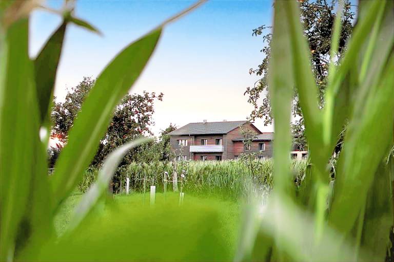 Vacation home with terrace, sauna & garden — photo 4