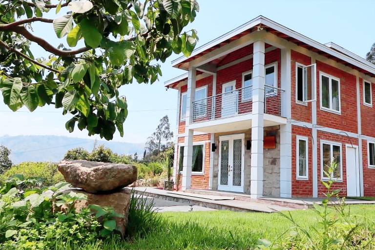 Casa Patate