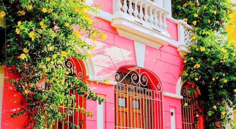 Casa Rosa - Alma Hotels in Santa Marta