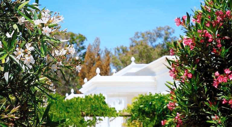 Ample villa with pool | Pet-friendly in Portimão