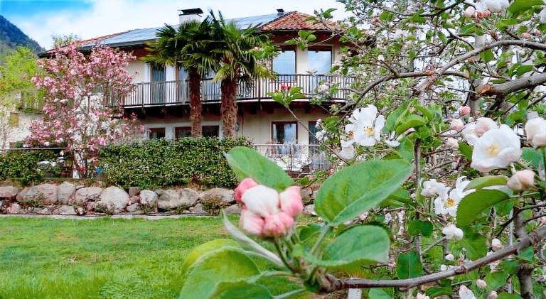 Holiday apartment with yard — photo 5