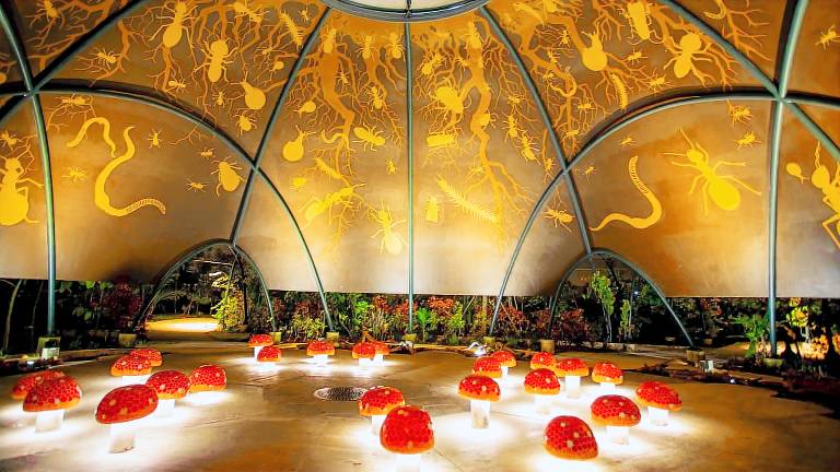 Stunning 2 Bedroom Apartment in Singapore