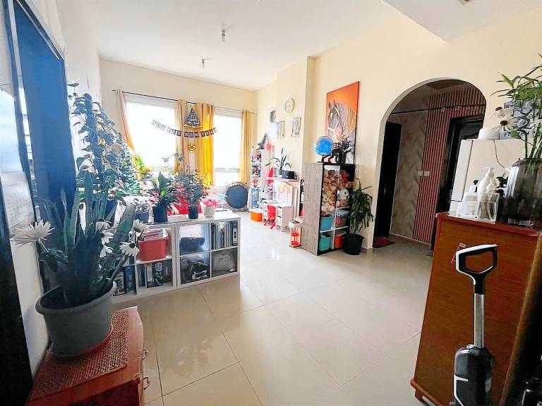 foto3