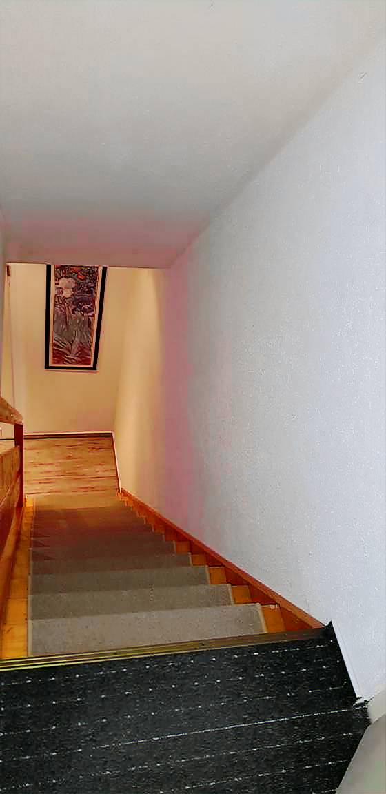 foto3