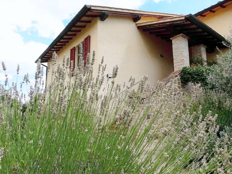 Il Cerreto: Camera Familiare — photo 2