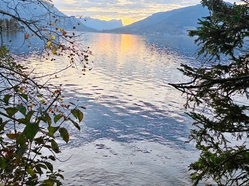 Ferienwohnung  Attersee