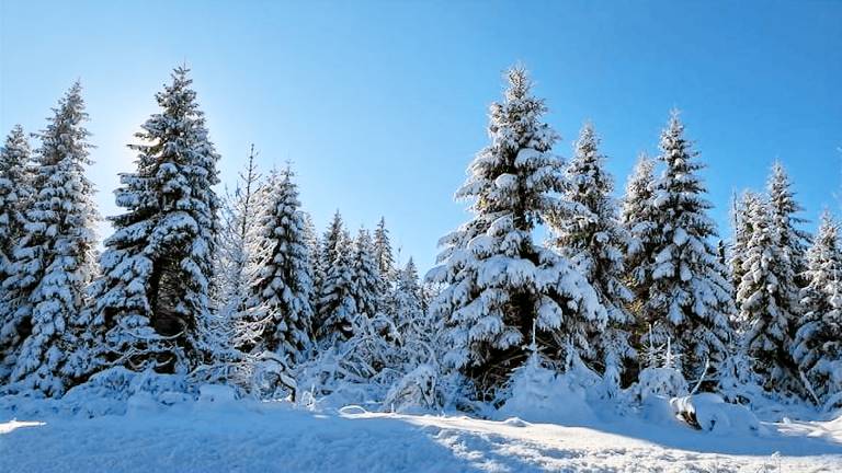 Ferienwohnung  Altenau