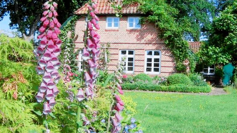 Ferienwohnung Dänikhorsterfeld