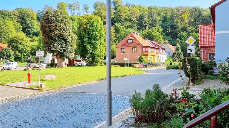 foto1