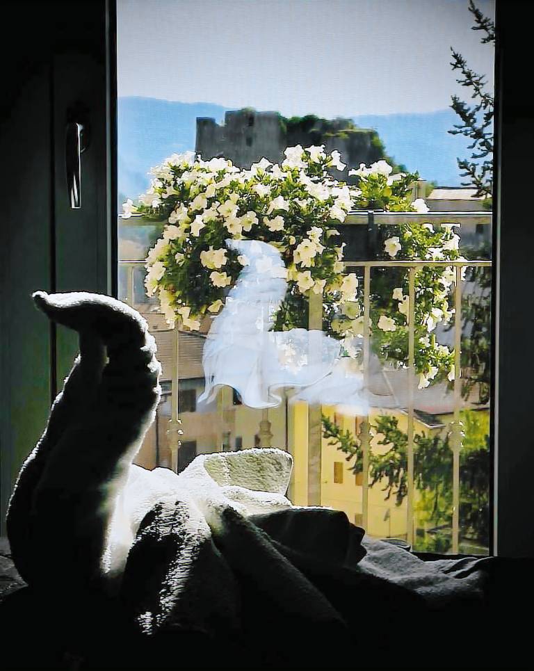 Bed and Breakfast Caggiano