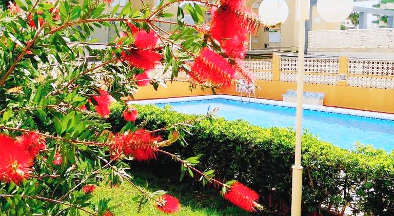 Holiday apartment with pool | Close to the beach | Pets are welcome in Gandia