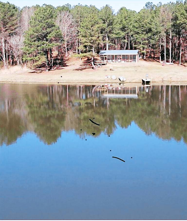 Cabin Batesville