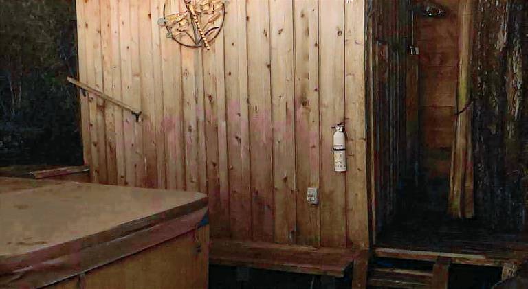 Forest Sweet Retreat Hot Tub & Wood Fired Sauna — photo 4