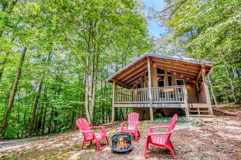 Light'n Bug Bungalow: Pet Friendly, FREE Attraction Tickets, Hot Tub, & Firepit — photo 3