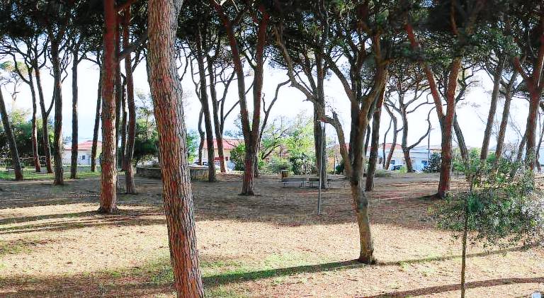 Apartment with 2 rooms for 6 persons in Follonica