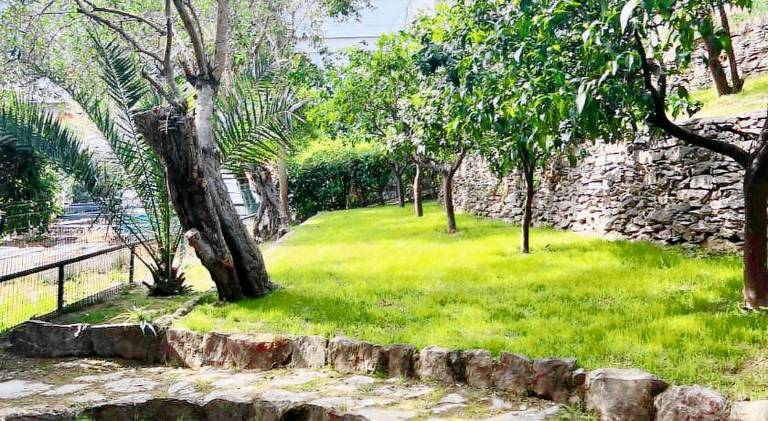 Wonderful apartment with pool | Pets allowed in Rapallo