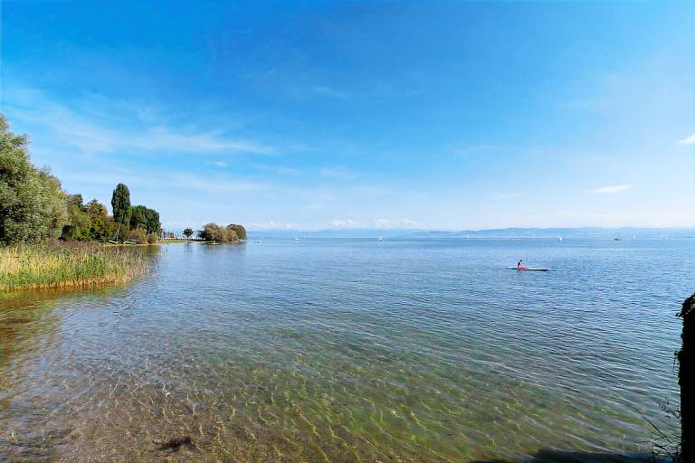 Ferienwohnung in Immenstaad am Bodensee für max. 4 Gäste