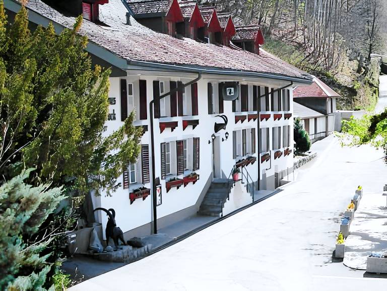 Historic Hotel Steinbock in Unterseen