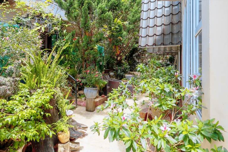 Homestay VuonTung (Pine Garden) — photo 5