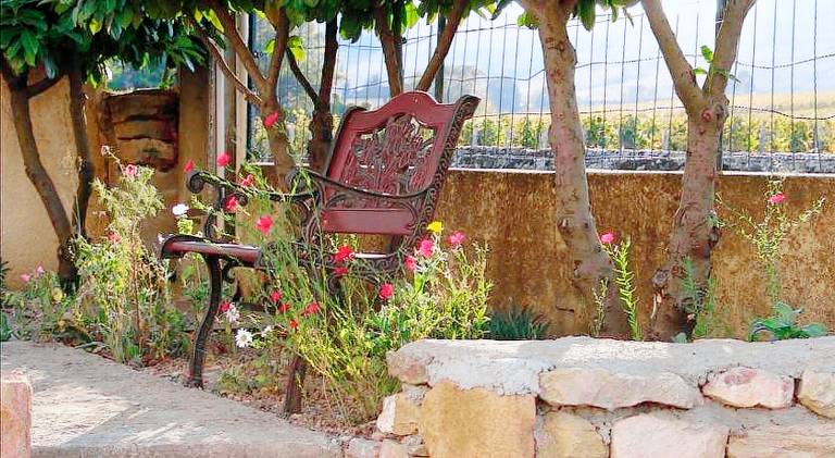 LA VIGNERAIE - SARL Champ Potard — photo 5