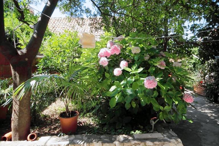 Rental apartment with patio & grill | Garden view — photo 2