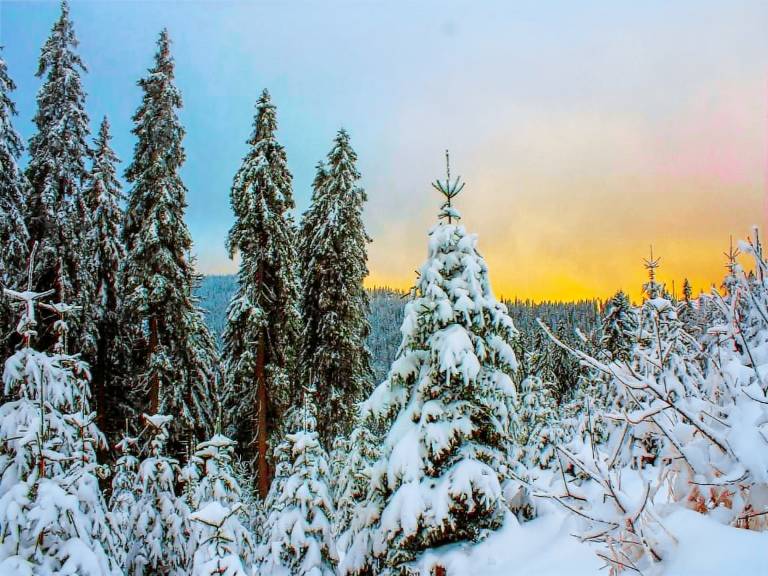 155 m&sup2; Ferienhaus