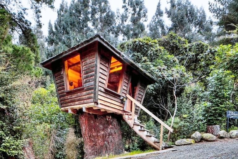 Maison de vacances  Little River