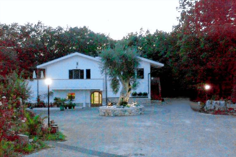 Parco dai Nonni: Ulivo — photo 2