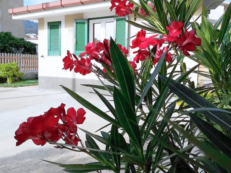 Casa Acquappesa