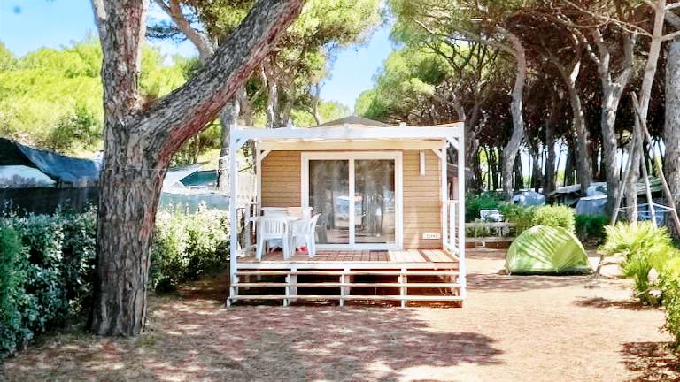 Lodge mit Terrasse, Grill und Pool