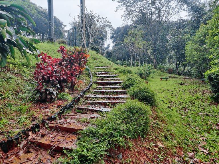 Amblyn Home stay Sakleshpur (Amc Group) — photo 5