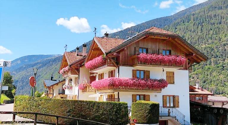 Lovely apartment | Pets are welcome in Dimaro Folgarida