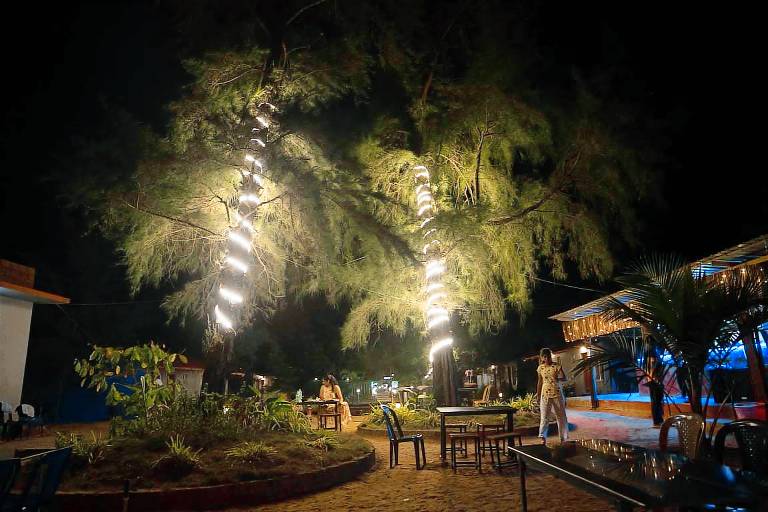 Alexa Private Beach Resort — photo 4
