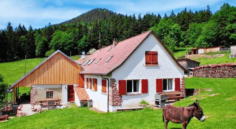 House  Thannenkirch