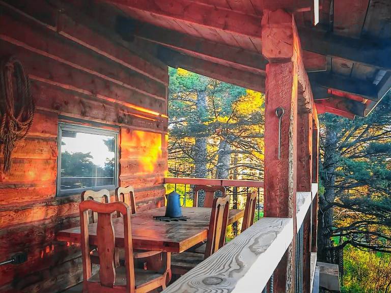Cabin Livingston