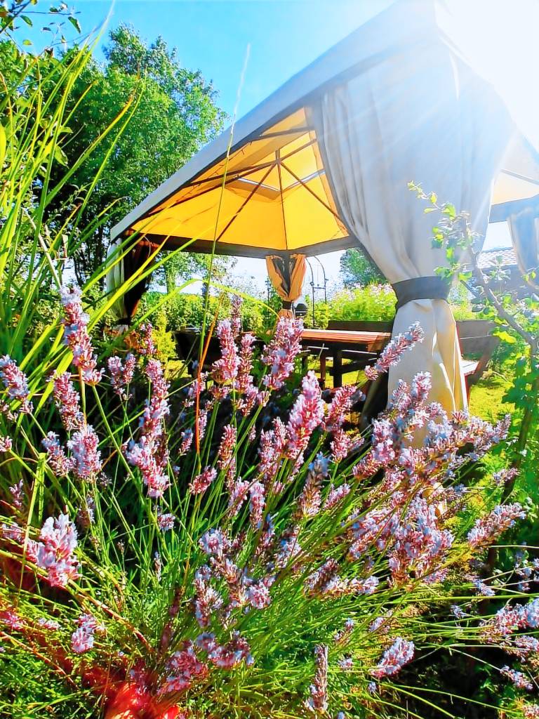 Vacation home with sauna, terrace & pool | Garden view — photo 3