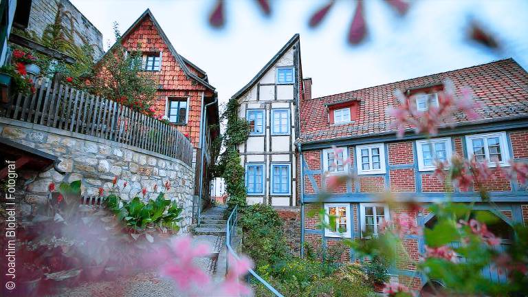 Lovely vacation home | Perfect for remote work | Pet-friendly in Quedlinburg