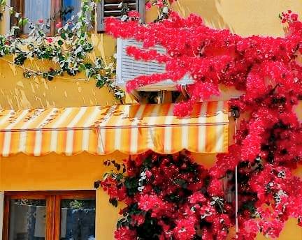 Holiday apartment | Pet-friendly in Montecatini Terme