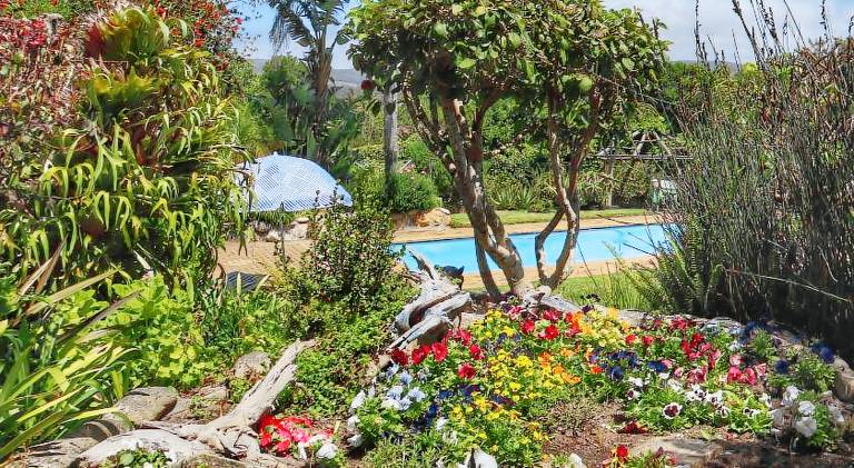 Ferienwohnung Knysna